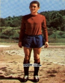 Sticker Bruno Giorgi - Campionato di Calcio 1967-1968
 n. REG4 - PERSICO
