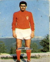 Sticker Claudio Turchetto - Campionato di Calcio 1967-1968
 n. PER10 - PERSICO
