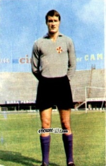 Figurina Enrico Albertosi - Campionato di Calcio 1967-1968
 n. FIO2 - PERSICO
