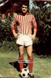 Sticker Ettore Demarco - Campionato di Calcio 1967-1968
 n. LRV9 - PERSICO
