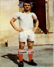 Sticker Faustino Goffi - Campionato di Calcio 1967-1968
 n. PAD12 - PERSICO
