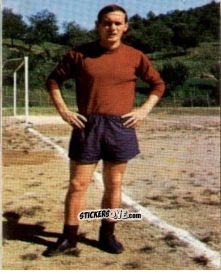 Sticker Giovanbatista Pienti - Campionato di Calcio 1967-1968
 n. REG11 - PERSICO
