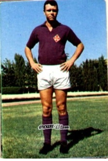 Figurina Giuseppe Brizi - Campionato di Calcio 1967-1968
 n. FIO7 - PERSICO
