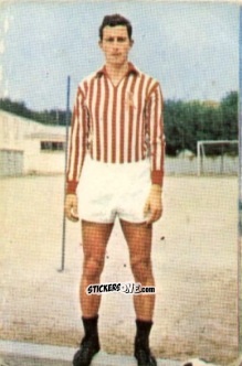 Sticker Paolo Calosi - Campionato di Calcio 1967-1968
 n. LRV5 - PERSICO
