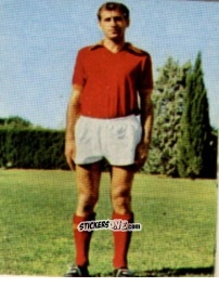 Sticker Joaquín Peiró - Campionato di Calcio 1967-1968
 n. ROM11 - PERSICO
