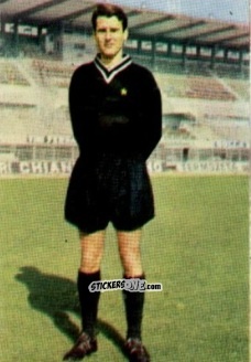 Sticker Roberto Anzolin - Campionato di Calcio 1967-1968
 n. JUV2 - PERSICO

