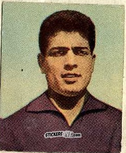 Figurina Bizzarri - Foot-ball-mou 1955-1956
 n. 33 - ELAH