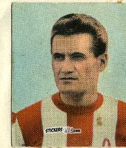 Figurina Höfling - Foot-ball-mou 1955-1956
 n. 73 - ELAH