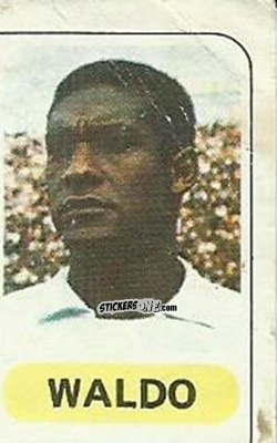 Cromo Waldo - Futbol en Accion 1977-1978
 n. 334 - PACOSA