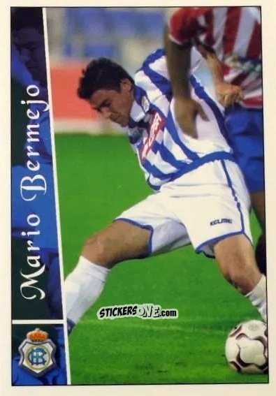 Figurina Bermejo - Las fichas de la Liga 2002-2003
 n. 531 - Mundicromo