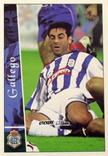 Figurina Gallego - Las fichas de la Liga 2002-2003
 n. 530 - Mundicromo