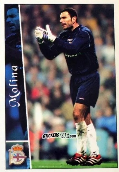 Sticker Molina - Las fichas de la Liga 2002-2003
 n. 31 - Mundicromo