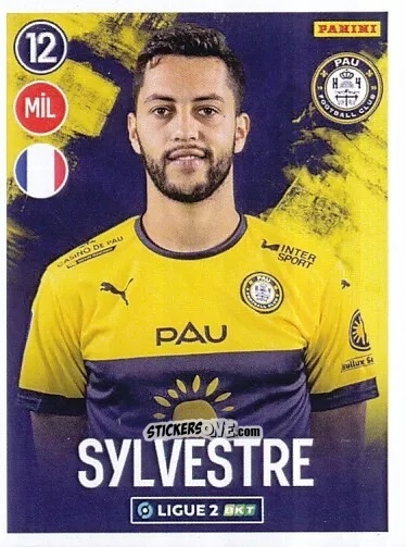 Cromo Eddy Sylvestre - FOOT 2022-2023 Ligue 2
 n. 222 - Panini