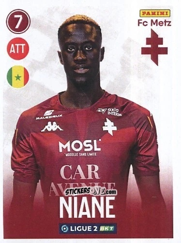 Cromo Ibrahima Niane - FOOT 2022-2023 Ligue 2
 n. 165 - Panini