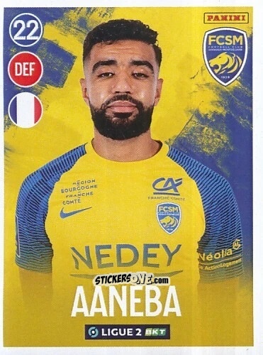 Figurina Ismaïl Aaneba - FOOT 2022-2023 Ligue 2
 n. 272 - Panini