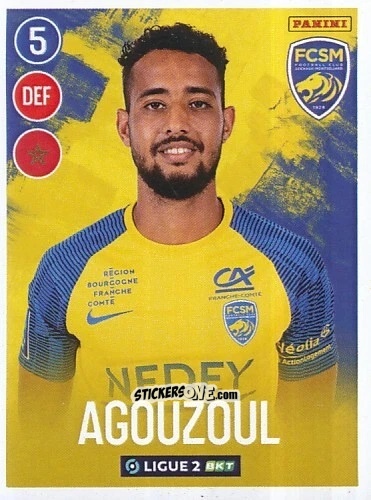 Figurina Saad Agouzoul - FOOT 2022-2023 Ligue 2
 n. 273 - Panini