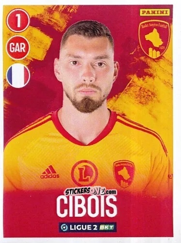 Figurina Sébastien Cibois - FOOT 2022-2023 Ligue 2
 n. 241 - Panini