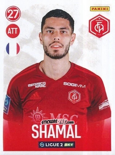 Figurina Steve Shamal - FOOT 2022-2023 Ligue 2
 n. 29 - Panini