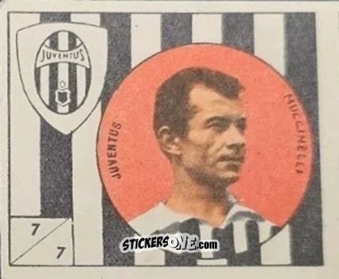 Cromo Muchinelli
