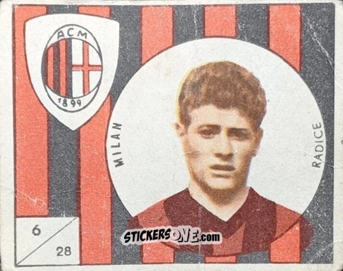 Cromo Radice