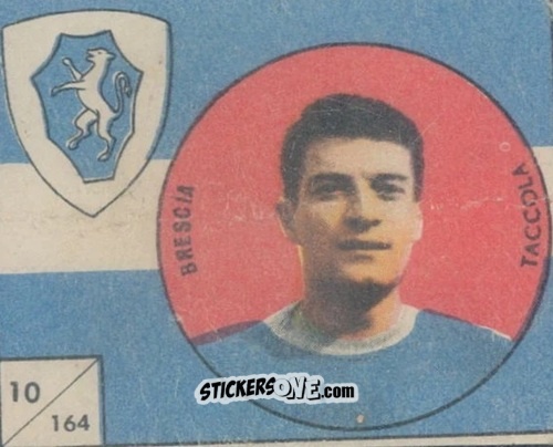 Cromo Taccola