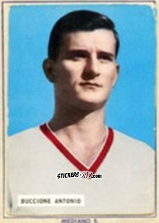 Figurina Antonio Buccione - Fotocalcio 1963-1964
 n. 16 - EDIZIONE FILATELICHE
