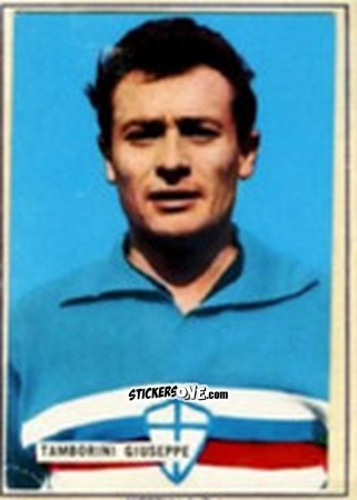 Sticker Giuseppe Tamborini - Fotocalcio 1963-1964
 n. 177 - EDIZIONE FILATELICHE
