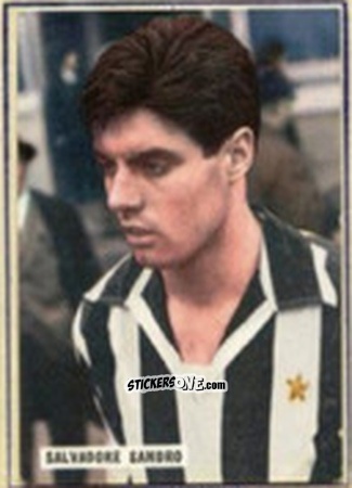 Sticker Sandro Salvadore - Fotocalcio 1963-1964
 n. 89 - EDIZIONE FILATELICHE
