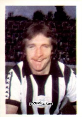 Sticker Alan Shoulder - Football 1980-1981
 n. 331 - Daily Star
