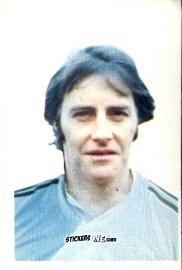 Sticker David Stewart - Football 1980-1981
 n. 342 - Daily Star

