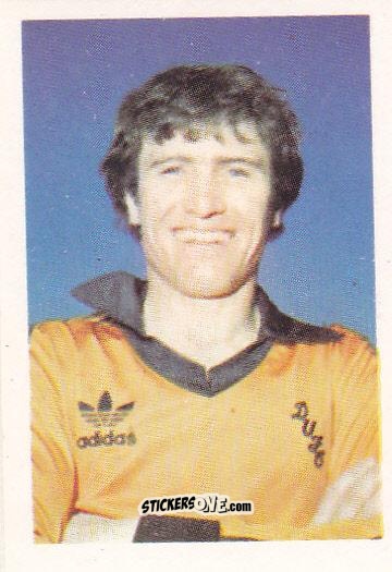 Figurina Eammon Bannon - Football 1980-1981
 n. 391 - Daily Star
