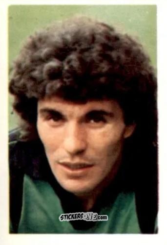 Cromo Petar Borota - Football 1980-1981
 n. 309 - Daily Star
