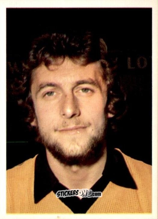 Cromo Peter Daniel - Football 1980-1981
 n. 299 - Daily Star
