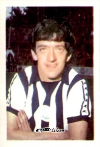 Cromo Terry Hibbitt - Football 1980-1981
 n. 327 - Daily Star
