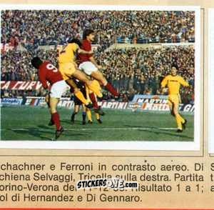 Sticker Torino Vs Verona - Calciatori 1984-1985
 n. 273 - Edis