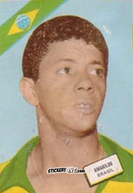 Sticker Amarildo - Campeonato Mundial de Futbol 1962
 n. 103 - DISGRA