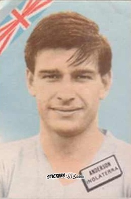 Figurina Anderson - Campeonato Mundial de Futbol 1962
 n. 33 - DISGRA