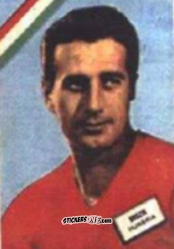Cromo Boszik - Campeonato Mundial de Futbol 1962
 n. 277 - DISGRA