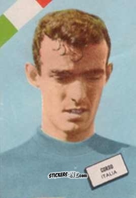 Figurina Corso - Campeonato Mundial de Futbol 1962
 n. 88 - DISGRA