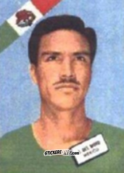 Cromo Del Muro - Campeonato Mundial de Futbol 1962
 n. 295 - DISGRA