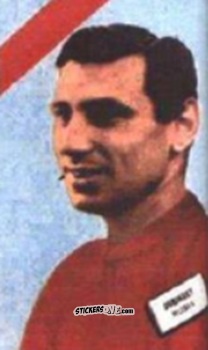 Sticker Dubinsky - Campeonato Mundial de Futbol 1962
 n. 237 - DISGRA
