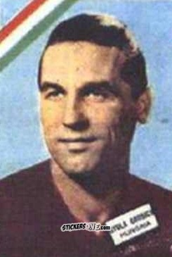 Sticker Ilkugrosics - Campeonato Mundial de Futbol 1962
 n. 269 - DISGRA