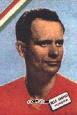 Sticker Karpati - Campeonato Mundial de Futbol 1962
 n. 273 - DISGRA