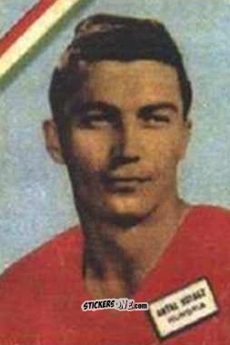 Cromo Kotasz - Campeonato Mundial de Futbol 1962
 n. 280 - DISGRA