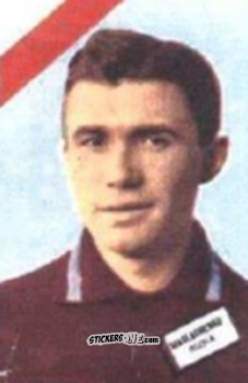Sticker Maslachenko - Campeonato Mundial de Futbol 1962
 n. 228 - DISGRA