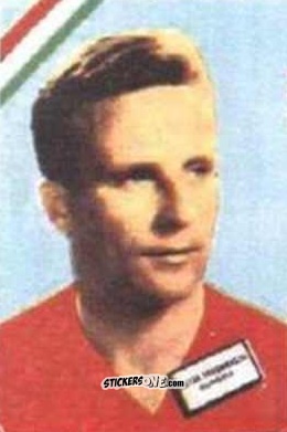 Sticker Friedmanszki - Campeonato Mundial de Futbol 1962
 n. 281 - DISGRA
