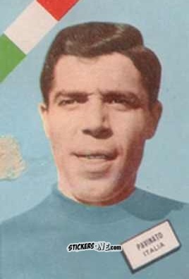 Sticker Pavinato - Campeonato Mundial de Futbol 1962
 n. 79 - DISGRA