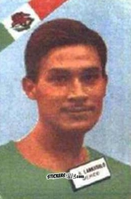 Cromo Larrasolo - Campeonato Mundial de Futbol 1962
 n. 299 - DISGRA