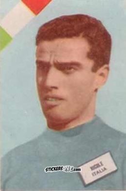 Sticker Nicole - Campeonato Mundial de Futbol 1962
 n. 84 - DISGRA