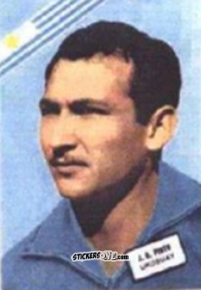 Cromo Pinto - Campeonato Mundial de Futbol 1962
 n. 156 - DISGRA